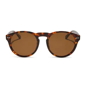 CODY XL - RICH TORTOISE   BROWN   POLARIZED SUNGLASSES